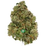 AAA - Death Punch - Indica