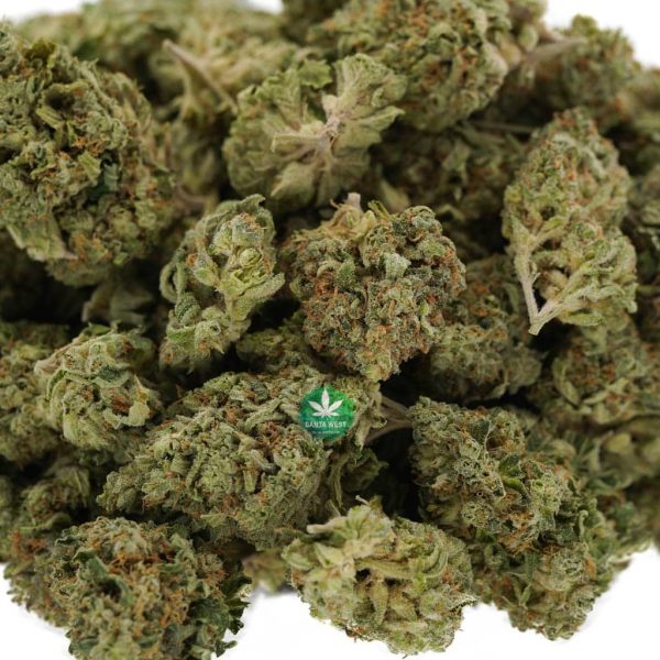 Wholesale - AAA - Death Punch - Indica
