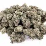 Wholesale - Green Crack AAA