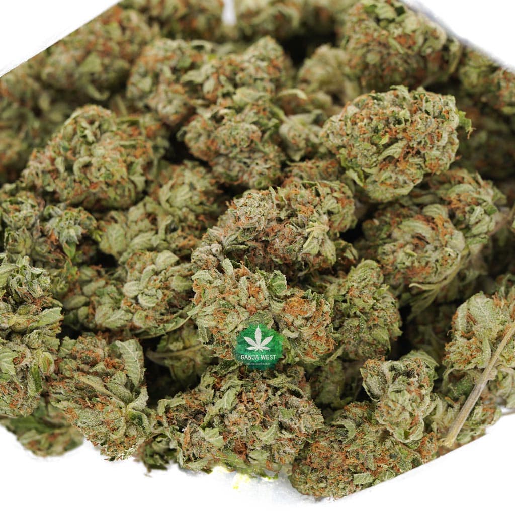 buy-strain-cannabis-online-dispensary-ganja-west-aaa-mk-ultra-wholesale-1.jpg