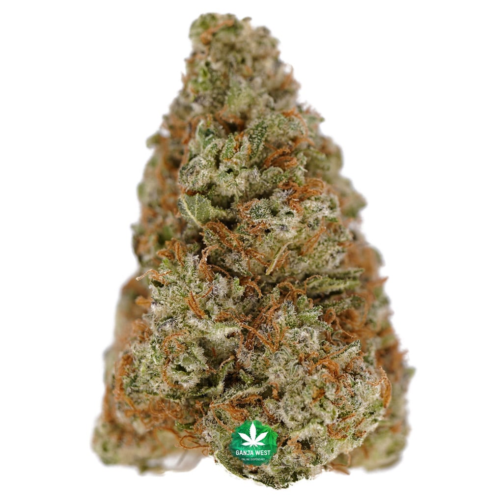 buy-strain-cannabis-online-dispensary-ganja-west-aaa-northern-lights-1.jpg