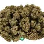 Wholesale - AAAA - Pink Gorilla - Indica