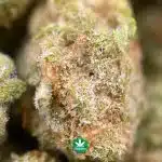 AAA Popcorn - Sugar Cookie - Image 3