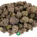 Wholesale - Black Roses AAAA