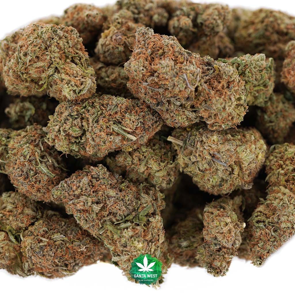 buy-strain-cannabis-online-dispensary-ganja-west-aaaa-critical-mass-wholesale-2.jpg