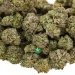 Wholesale - AAAA - Hindu Kush - Indica