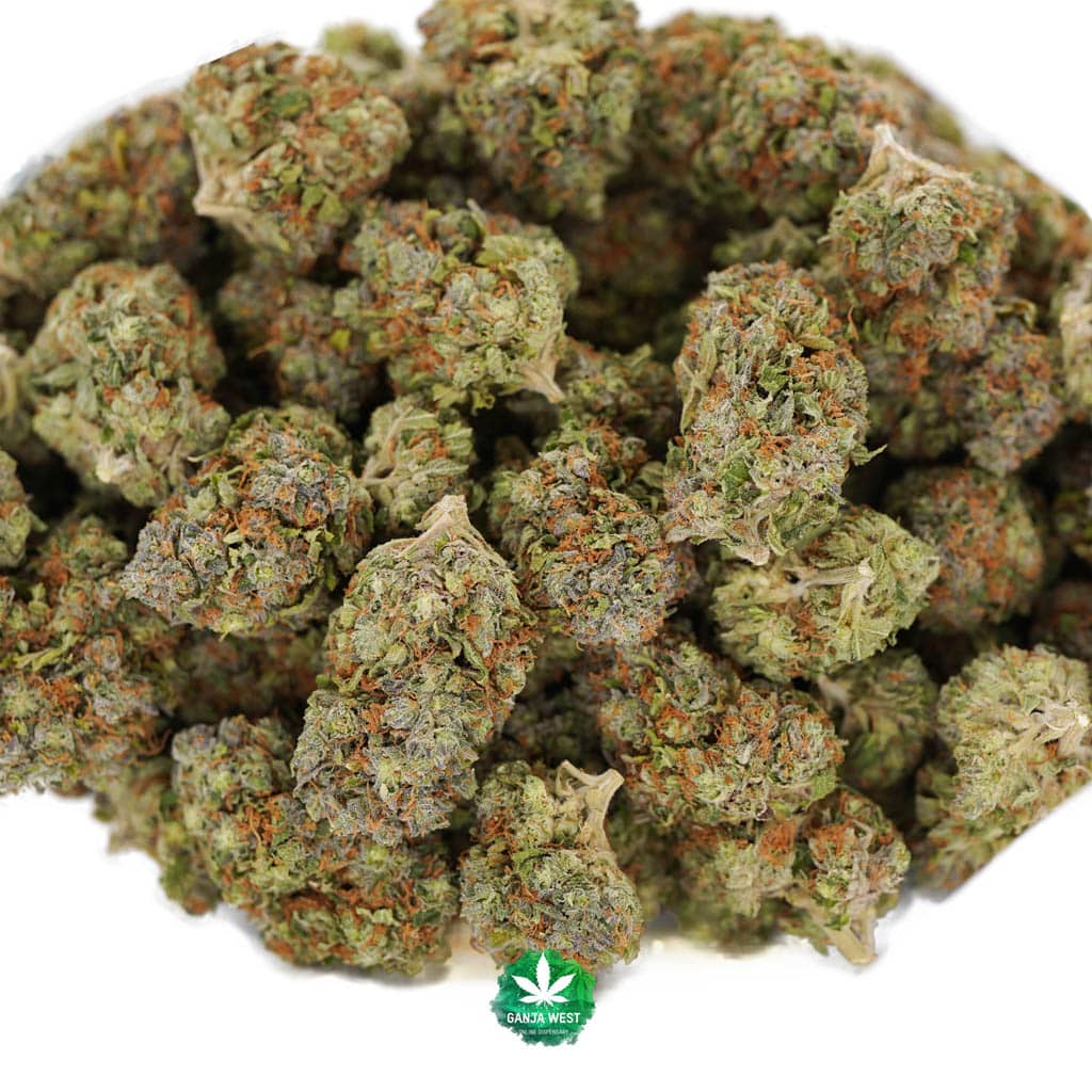 buy-strain-cannabis-online-dispensary-ganja-west-aaaa-island-pink-kush-wholesale-1.jpg