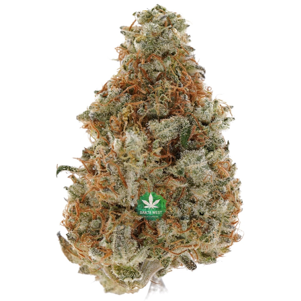 buy-strain-cannabis-online-dispensary-ganja-west-aaaa-mandarin-cookies-1.jpg