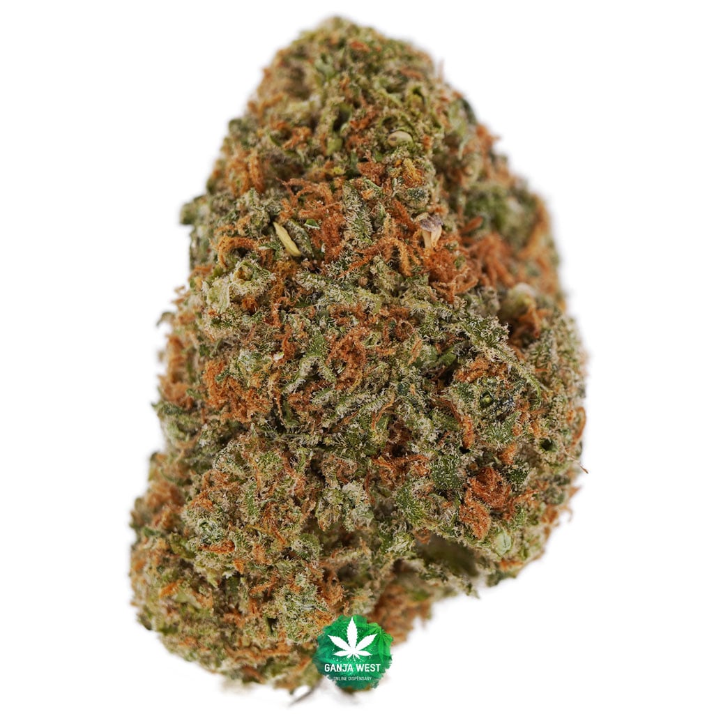 buy-strain-cannabis-online-dispensary-ganja-west-aaaa-orange-cookies-1.jpg
