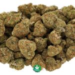 Wholesale - AAAA - Orange Cookies - Indica