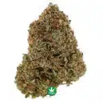 AAAA - Pineapple Berry - Sativa