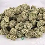 Wholesale - AAAA - Rocket Fuel - Indica