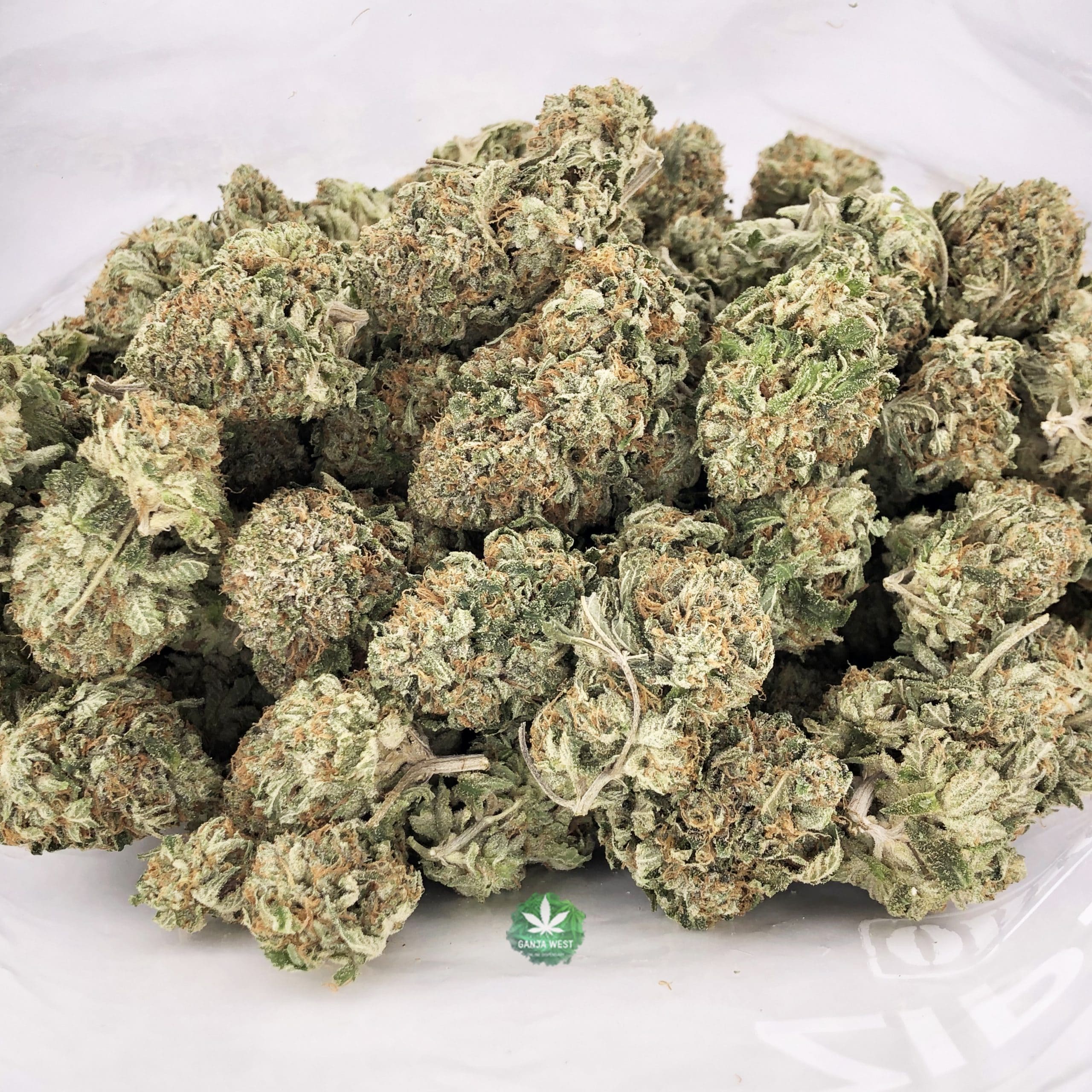 buy-strain-cannabis-online-dispensary-ganja-west-aaaa-rocket-fuel-wholesale-scaled-2.jpg