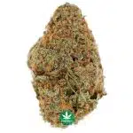 AAAA - Super Nuken - Indica