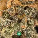 AAAA - Super Nuken - Indica - Image 3