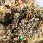 BB - Bubba Kush - Indica - Image 3