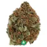 Wholesale - White Widow BB - Image 2