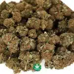 Wholesale - White Widow BB