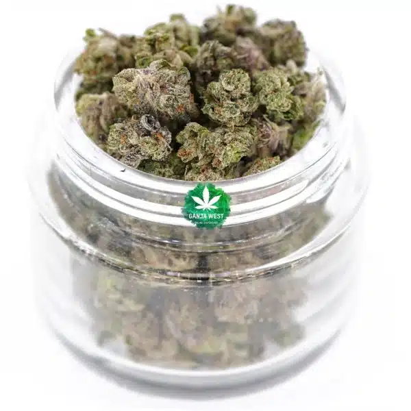 Purple Punch Craft Popcorn - Indica