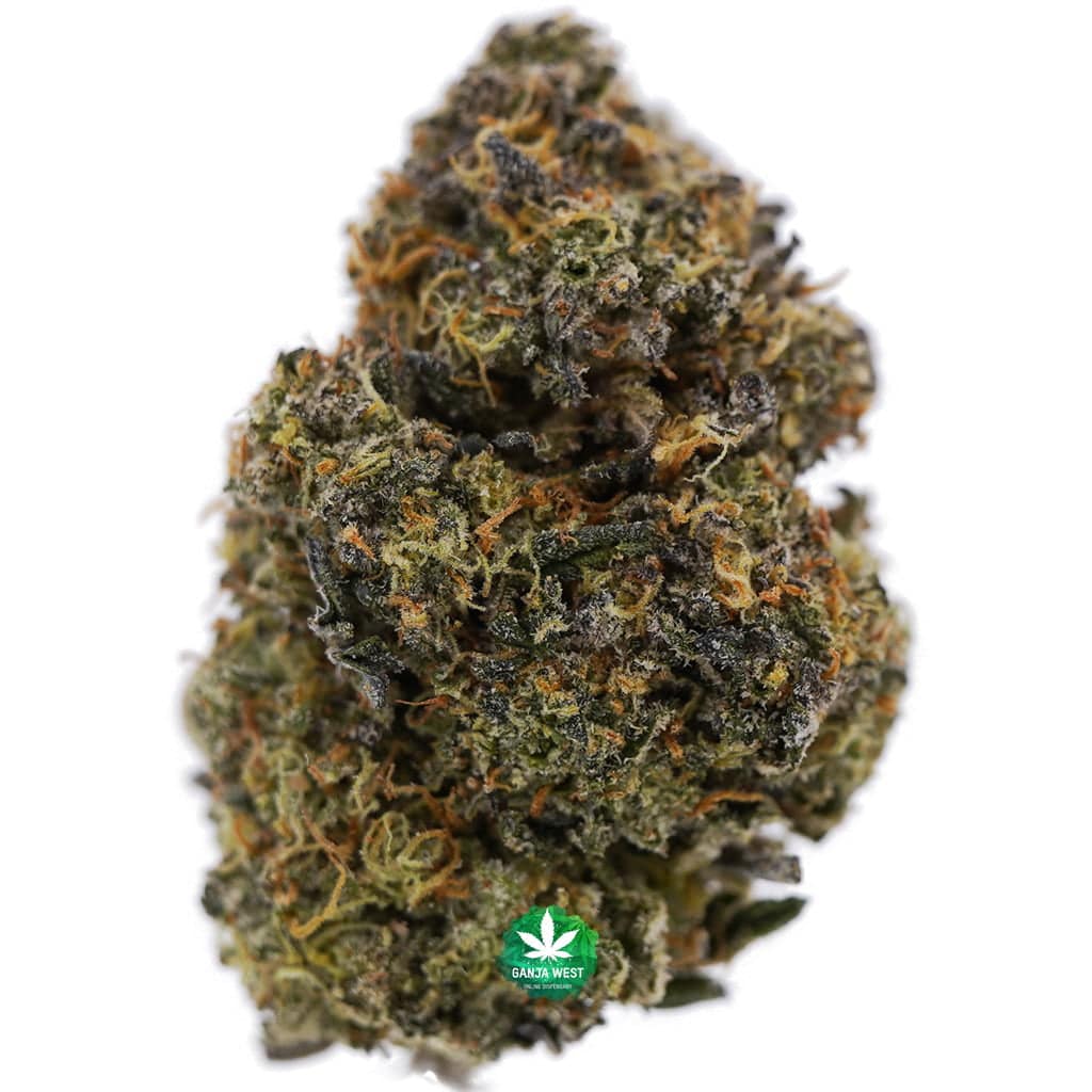 buy-strain-cannabis-online-ganja-west-gelato-aaaa-2.jpg