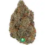 Miracle Alien Cookies #1 AAAA - Hybrid