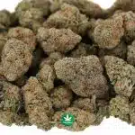 Miracle Alien Cookies #1 AAAA - Hybrid - Image 2