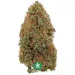 Nirvana AA - Sativa