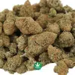 Nirvana AA - Sativa - Image 2