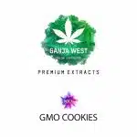 Shatter - GMO Cookies - Indica
