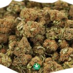 Wholesale - AA - Oreoz - Indica