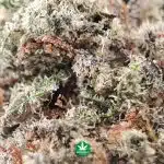 Wholesale – Pink Picasso AA - Image 3
