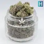 Amsterdam Headband AAAA Popcorn - Hybrid