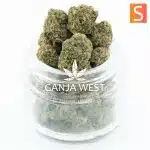 Green Apple OG AA Popcorn - Sativa