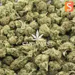 Wholesale Popcorn - Lemon Tag - AA