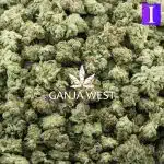 Wholesale Popcorn - Motorbreath - AAAA