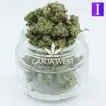 Motorbreath AAAA Popcorn - Indica