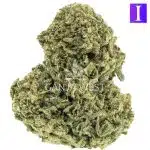 Alien Bubba AA - Indica