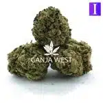 Bahama Blizzard A - Indica - Image 2