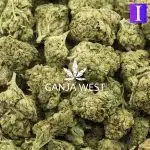 Bahama Blizzard A - Indica - Image 3