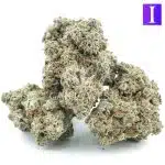 Bandit Breath AA - Indica - Image 2