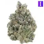 Birthday Punch AAAA - Indica