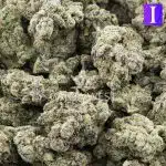 Birthday Punch AAAA - Indica - Image 3