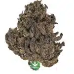 Black Roses A - Indica