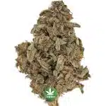 Blue Bastard A - Indica