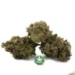 Blue Mystic A - Indica - Image 2