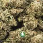 Blue Mystic A - Indica - Image 3