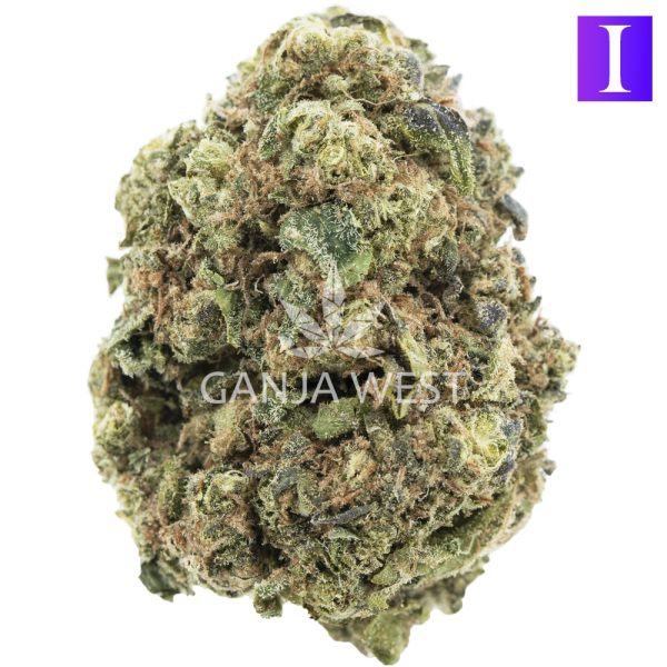 Blueberry Cough AAA - Indica