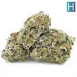 Bonkers AAAA - Hybrid - Image 2