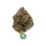 Bootylicious A - Hybrid