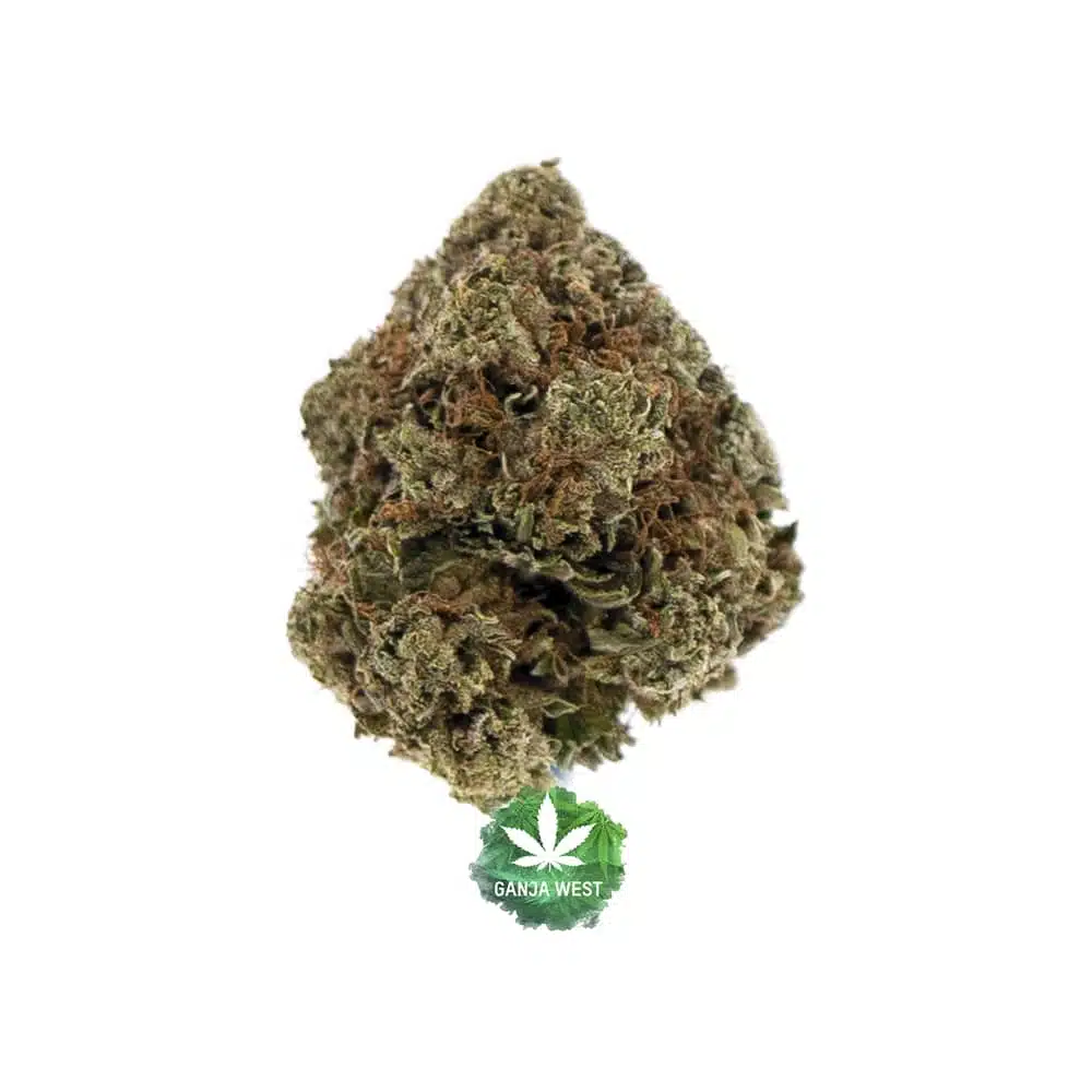 buy-weed-online-dispensary-ganja-west-bootylicious-a-nug-1.jpg Bootylicious A - Hybrid